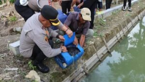 VideoCapture_20241216-183626