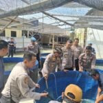 Polsek Cikande Kembali Panen Lele&hellip;