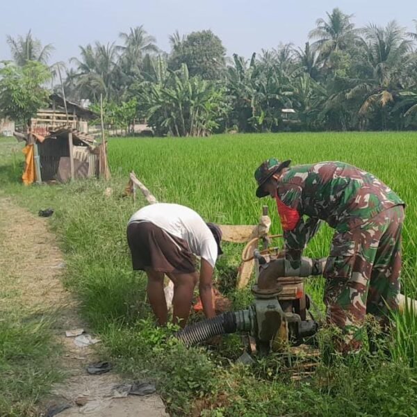Babinsa Koramil 0602-06/Kramatwatu Lakukan Pendampingan Pompanisasi Pertanian &hellip;