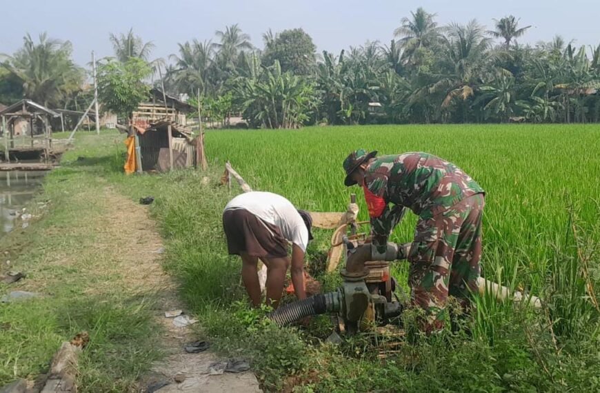 Babinsa Koramil 0602-06/Kramatwatu Lakukan Pendampingan Pompanisasi Pertanian …