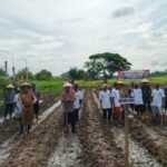 Dukung Kegiatan Penanaman 1 Juta&hellip;