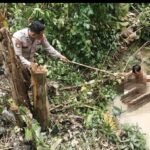 Kunci Masih Ngegantung, Motor Scoopy&hellip;