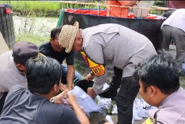 Polsek Ciruas Panen Ikan Perdana Program Ketahanan&hellip;