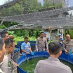 Sukses Program Ketahanan Pangan Nasional,…