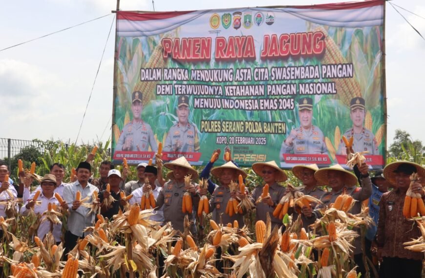 Sukses Panen Raya Jagung Seluas 10 Hektar&hellip;