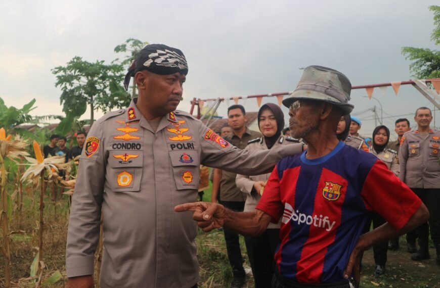 Lahan 1 Hektar Dapat 4 Ton Jagung,&hellip;