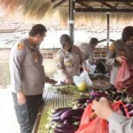 Kapolresta Serang Kota Panen Sayur…