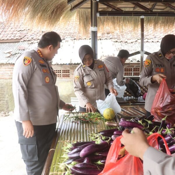Kapolresta Serang Kota Panen Sayur Program Ketapang