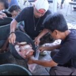 Panen Perdana ! Kapolres Serang…