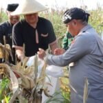 Lahan 2 Hektar Hasilkan 12&hellip;