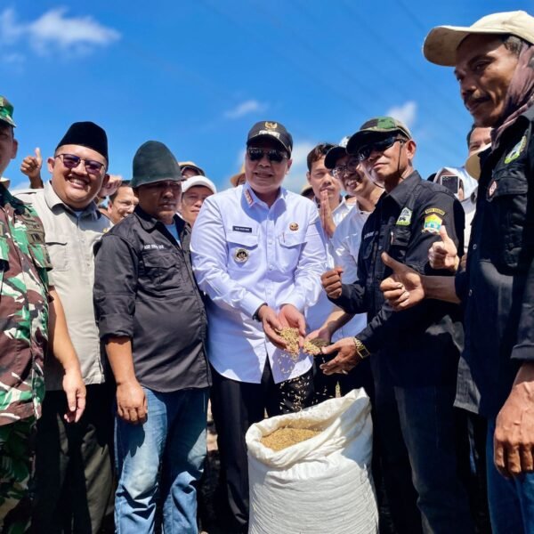 Hadiri Panen Raya Padi Serentak, Wali Kota&hellip;