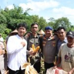 Kapolres Serang Panen Jagung Program&hellip;