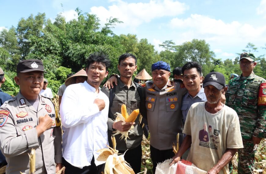 Kapolres Serang Panen Jagung Program Ketahanan Pangan…