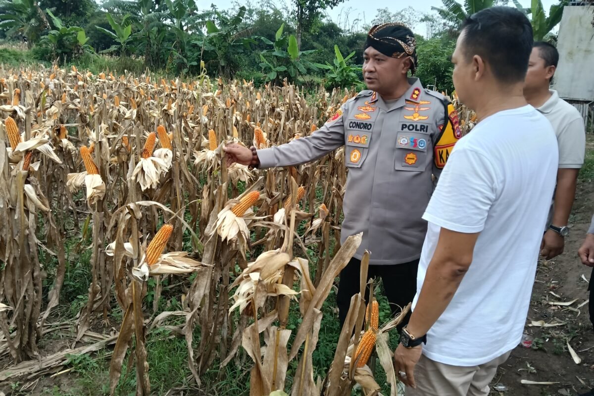 Gubernur Dan Kapolda Banten Dijadwalkan Akan Hadiri…
