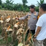 Gubernur Dan Kapolda Banten Dijadwalkan&hellip;