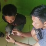 Apes ! Baru Sebulan Jual…