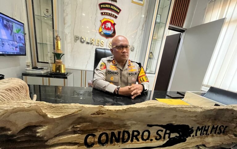 IMG-20240812-WA0008-768x485