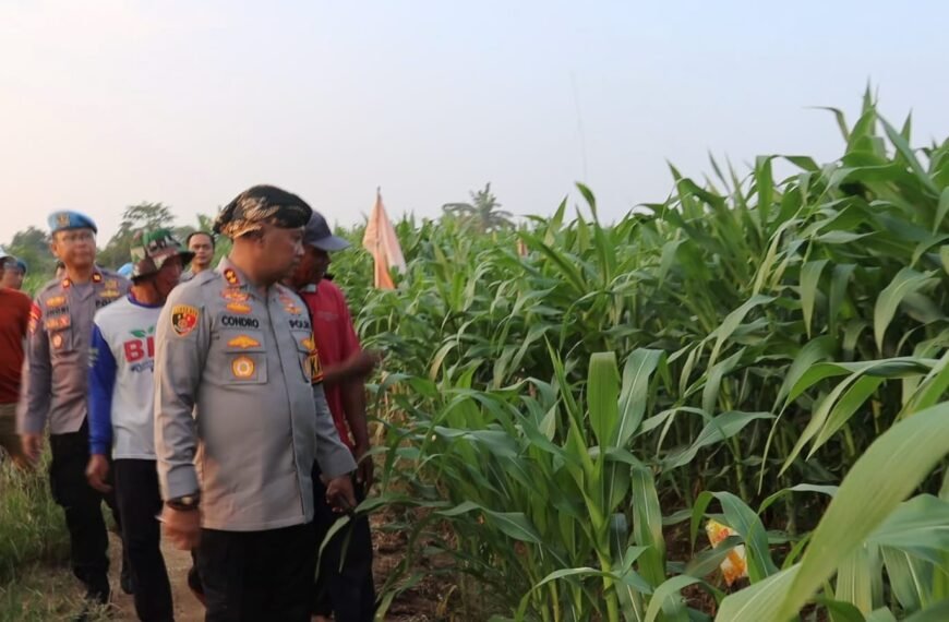 Kapolres Serang Tinjau Kebun Jagung di Lahan&hellip;