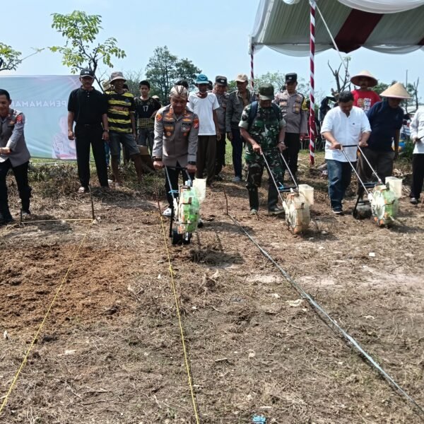 Program Swasembada Pangan, Kapolres Gelar Penanaman Jagung&hellip;