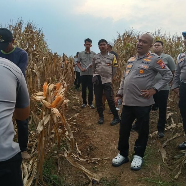 Simak ! Pekan Depan Polres Serang Panen&hellip;