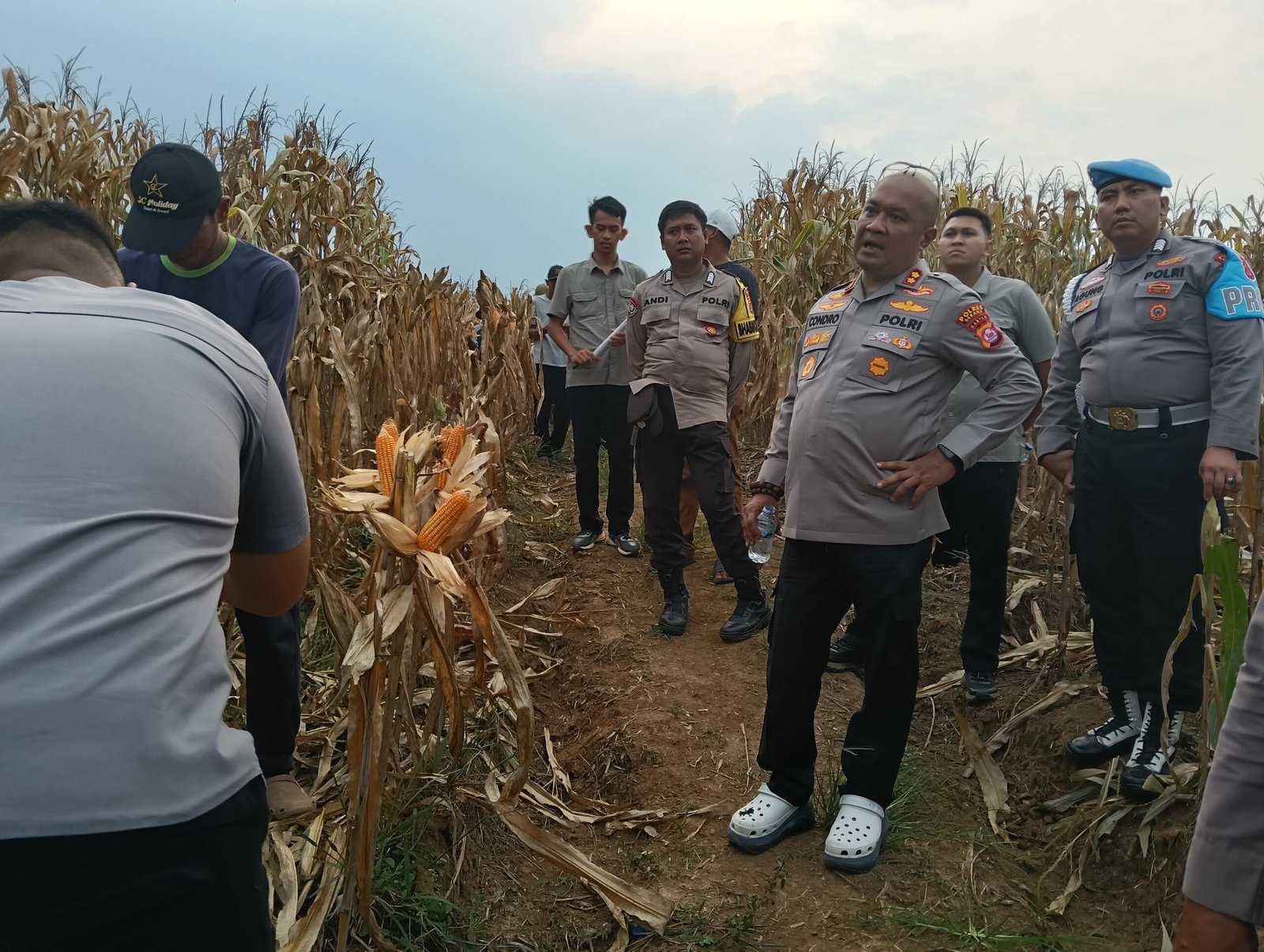 Simak ! Pekan Depan Polres Serang Panen Raya…