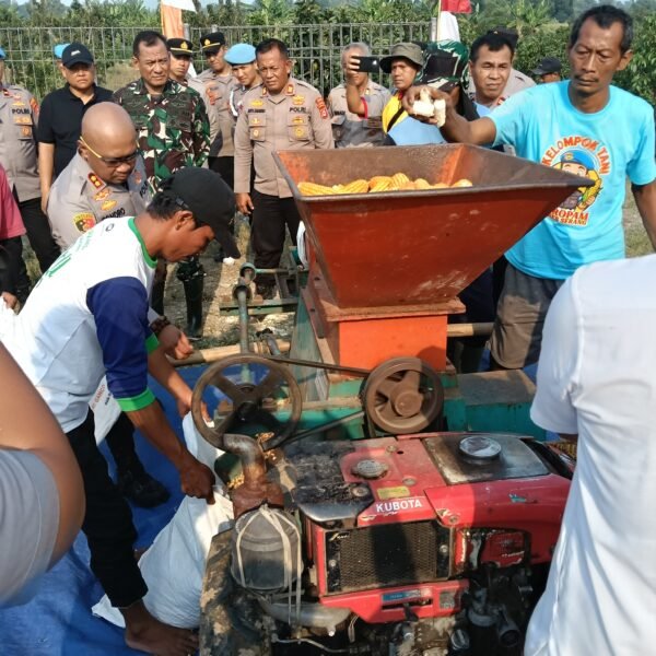 Panen Raya di Lahan 22 Hektar, Kapolres&hellip;