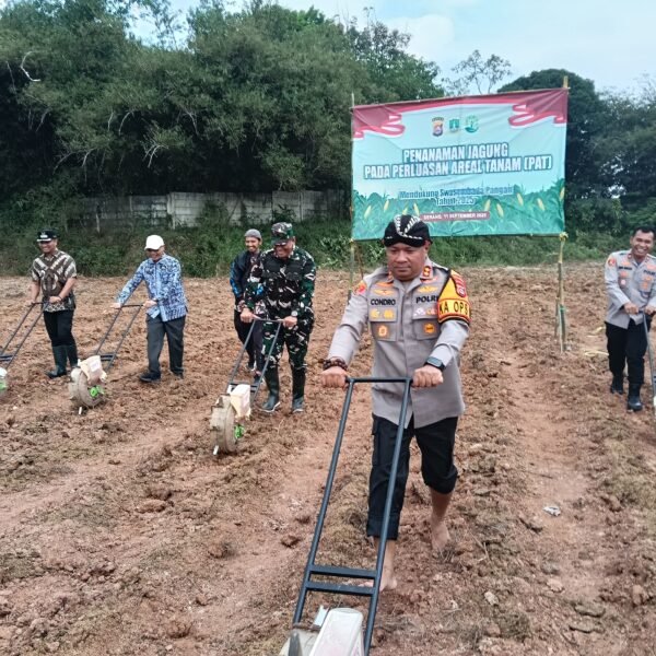 Kapolres Serang Pimpin Penanaman Jagung Serentak di…
