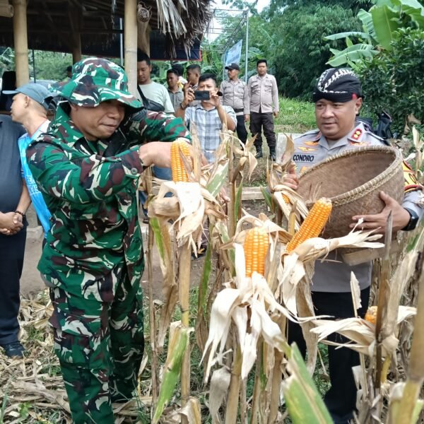 Kali Kedua di Desa Ranca Sumur, Kapolres…