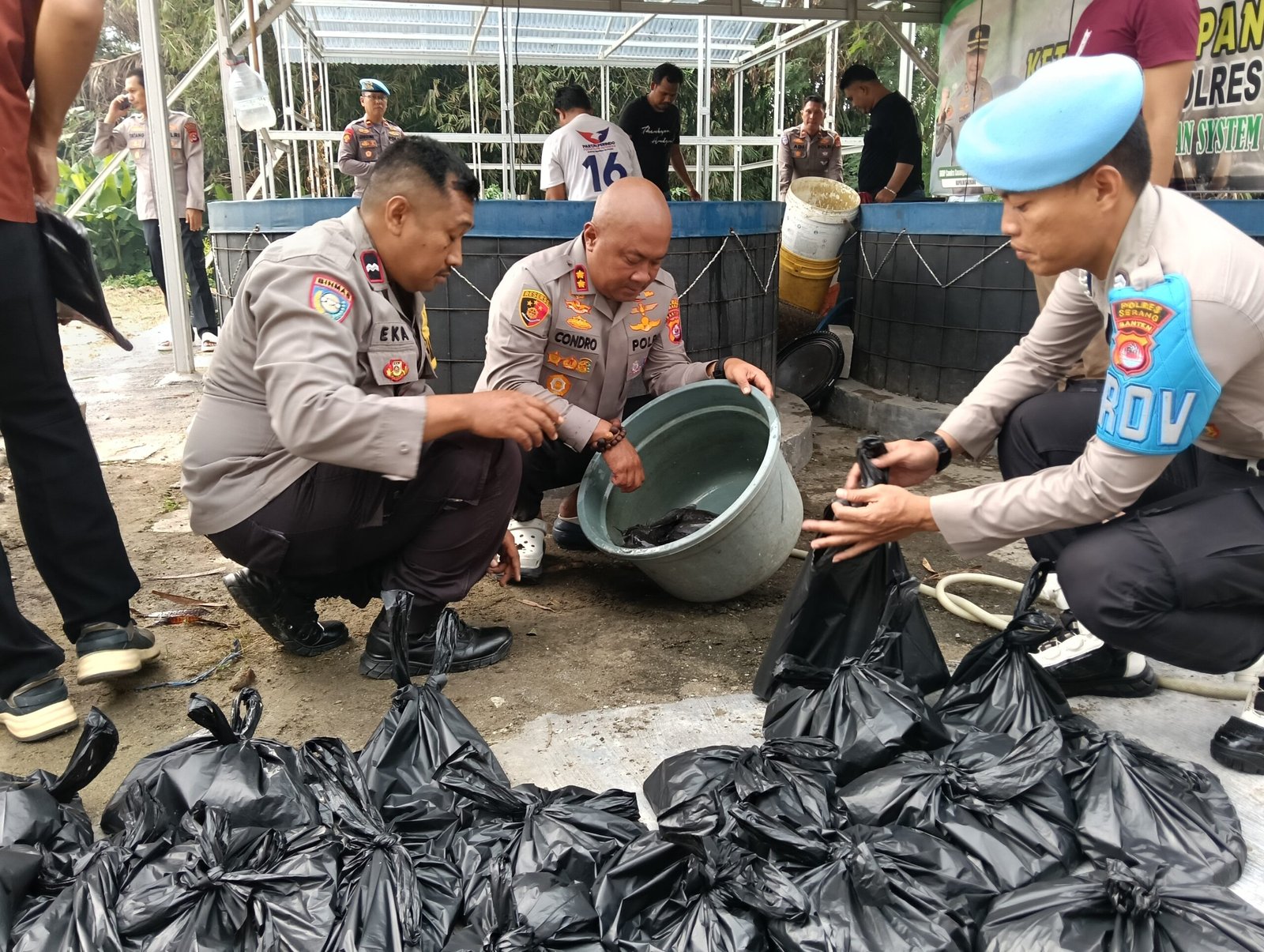 Kapolres Serang Kembali Panen Lele di Polsek Cikande&hellip;