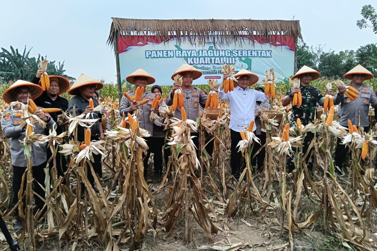 Kapolda Pimpin Panen Raya Jagung Serentak di&hellip;