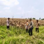 Polres Serang Siapkan Panen Raya&hellip;