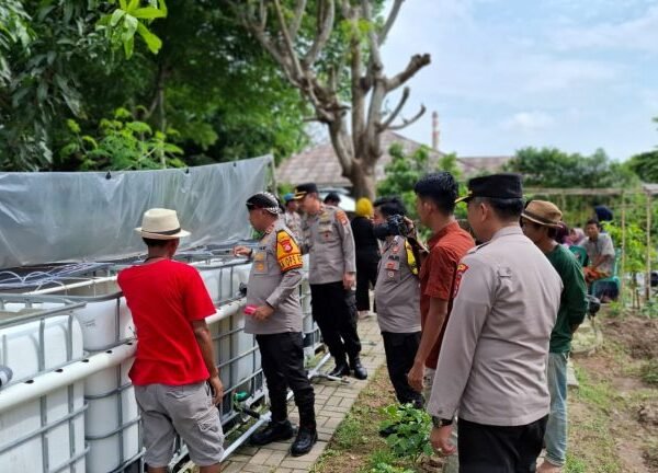 Kapolres Tinjau Progres Program Swasembada Pangan di…