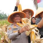 Jauh Lampaui Target, Serapan Hasil&hellip;