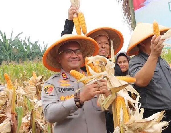 Jauh Lampaui Target, Serapan Hasil Panen Kwartal…