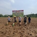 Polsek Cikande Gelar Penanaman Jagung…