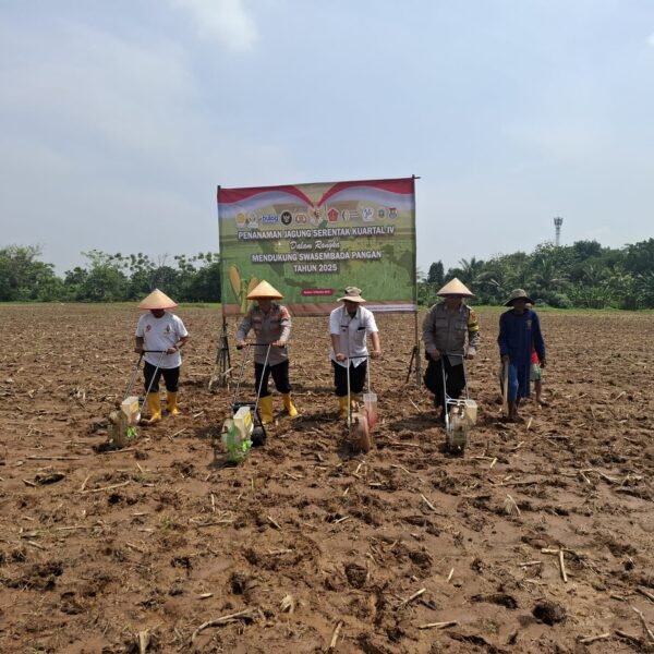 Polsek Cikande Gelar Penanaman Jagung Serentak Kuartal…