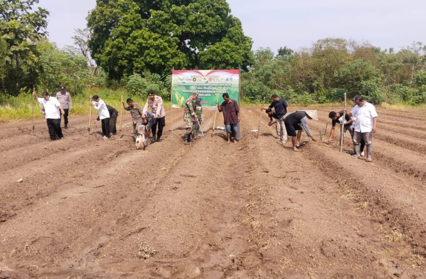 Polsek Kragilan Gelar Penanaman Jagung Serentak Kuartal&hellip;