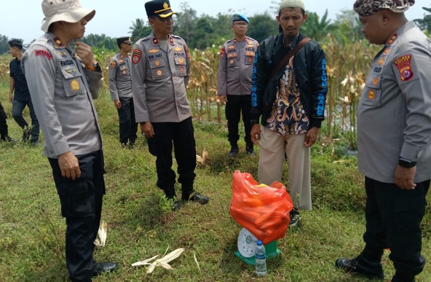 Panen Jagung di Silebu Warnai Keakraban Kapolres&hellip;
