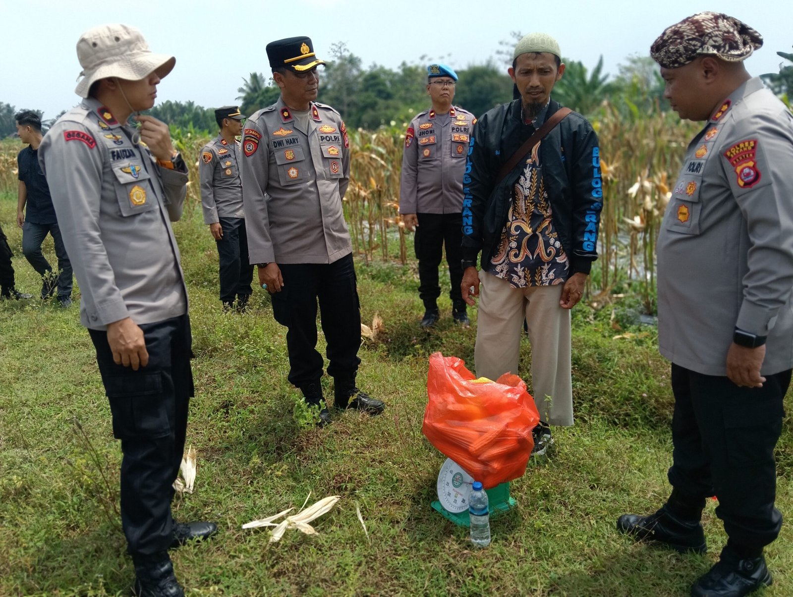 Panen Jagung di Silebu Warnai Keakraban Kapolres Bersama&hellip;