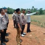 Kapolres Tinjau Perkebunan Jagung Seluas&hellip;