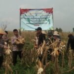 Poktan Binaan Polres Serang Jual&hellip;