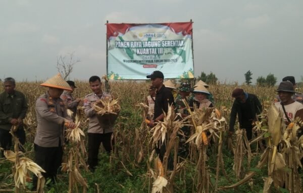 Poktan Binaan Polres Serang Jual 17,4 Ton Pipil&hellip;