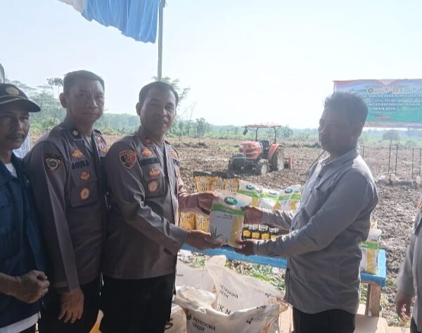 Polres Serang Gelar Penanaman Jagung Serentak Kuartal…