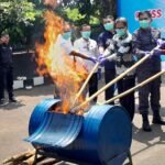 Ganja Tak Bertuan Dimusnahkan BNNP…