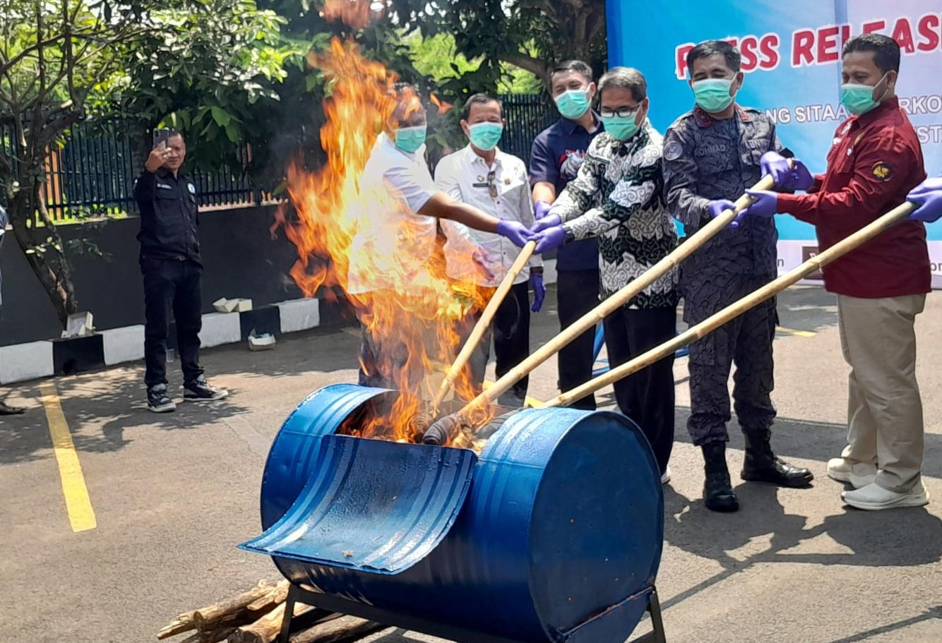 Ganja Tak Bertuan Dimusnahkan BNNP Banten