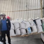 Panen Jagung Binaan Kapolres Serang…