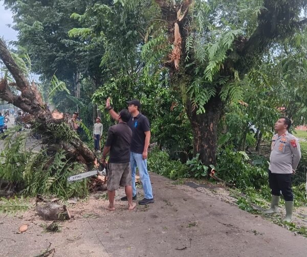 Petugas Polsek Kopo Bersihkan Batang Pohon Tumbang&hellip;