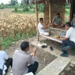 Kapolres Serang Cek Tanaman Jagung&hellip;