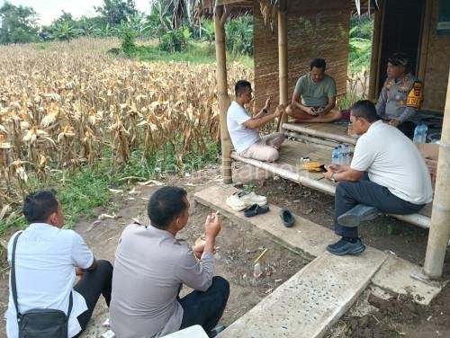 kapolres-serang-panen-raya-jagung