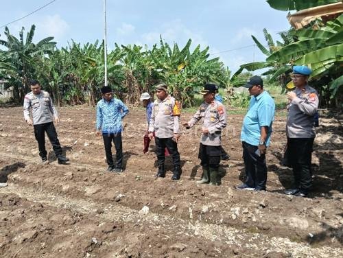 kapolres-serang-perkebunan-jagung